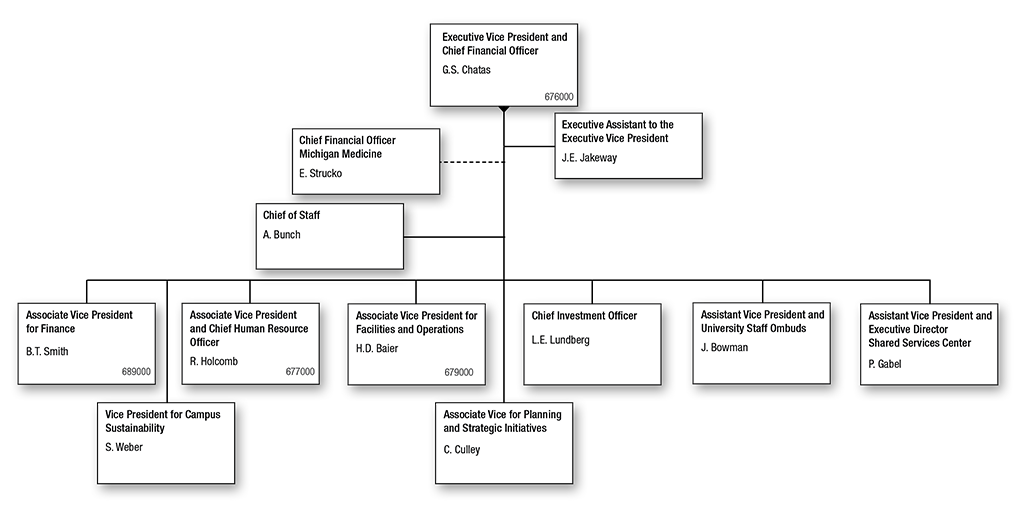 ORG chart for Executive Vice President Business and Finance